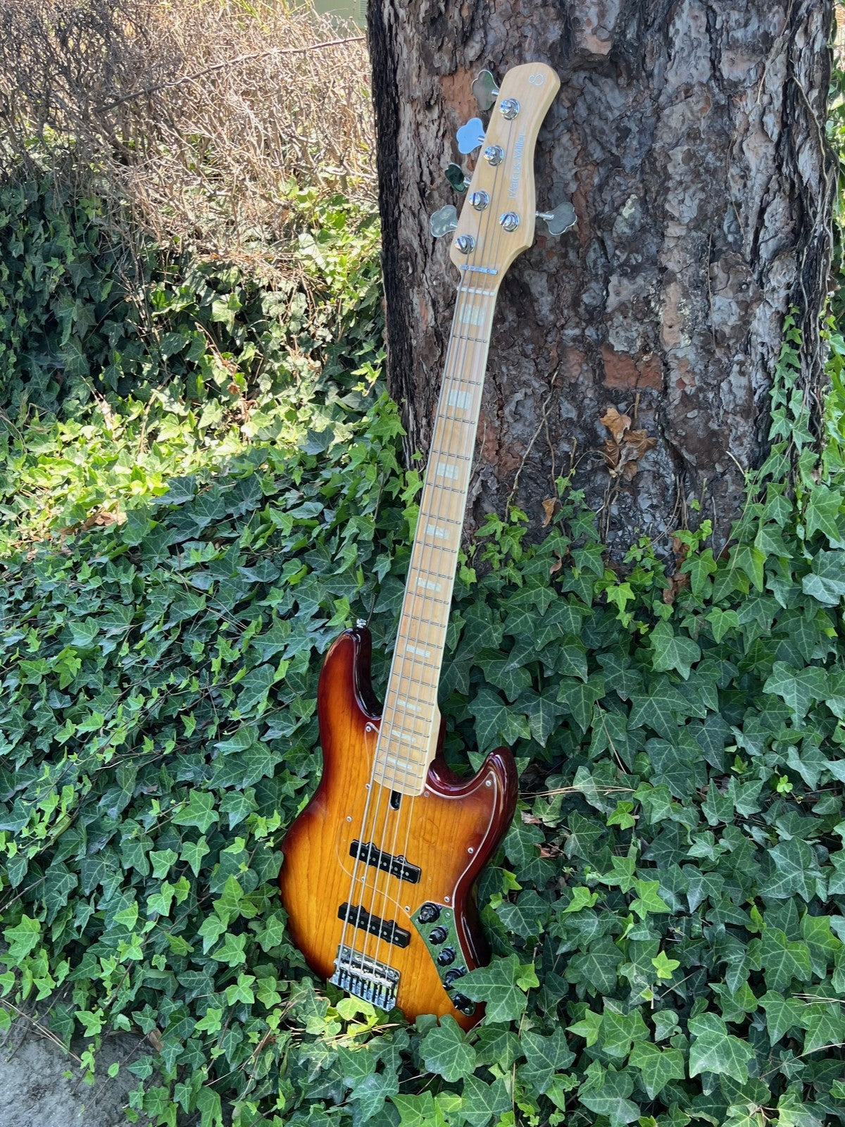 Sire V Series Pickguard (5 String) 2nd Generation