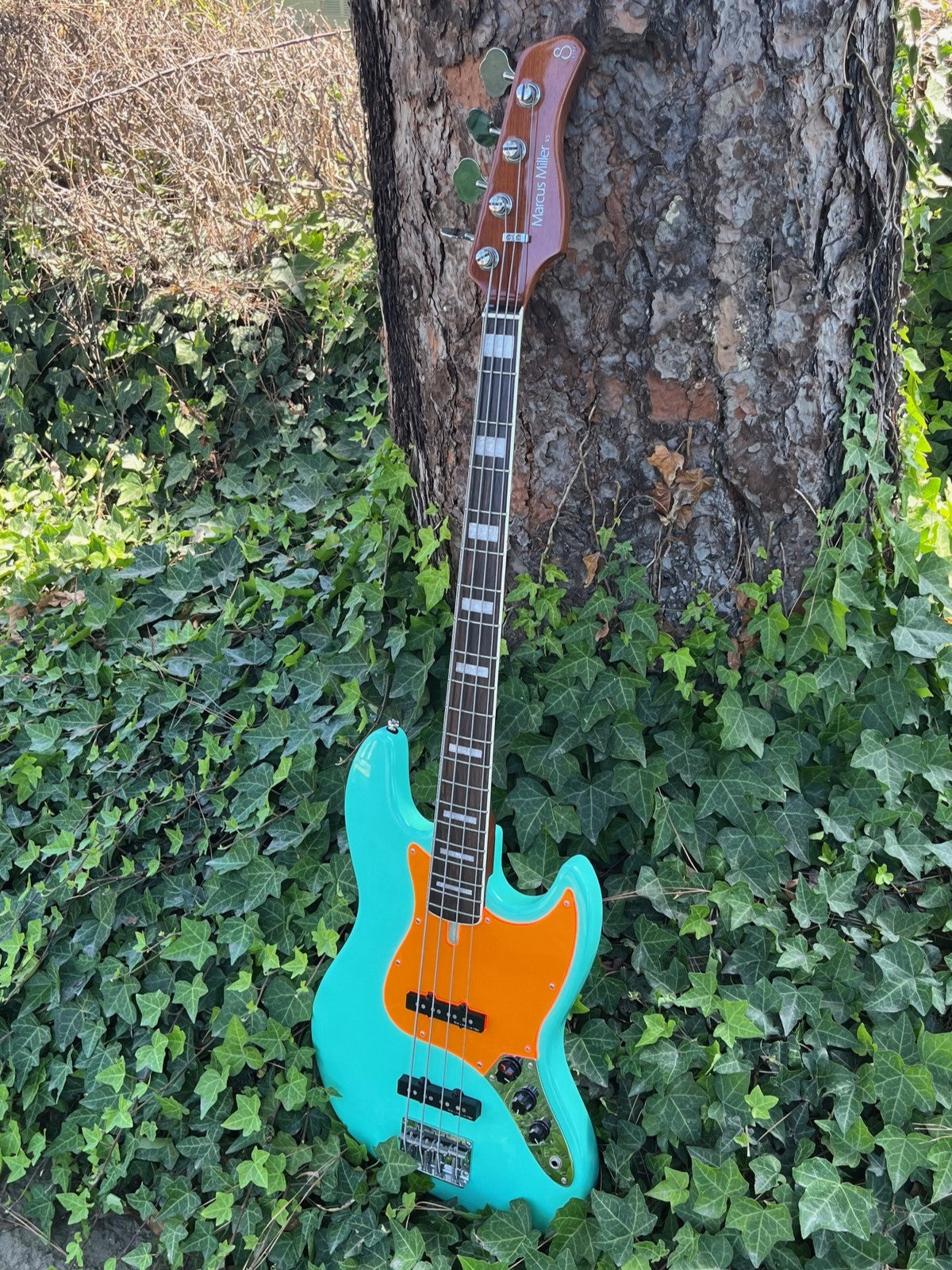 Sire V Series Pickguard (4 String) 2nd Generation