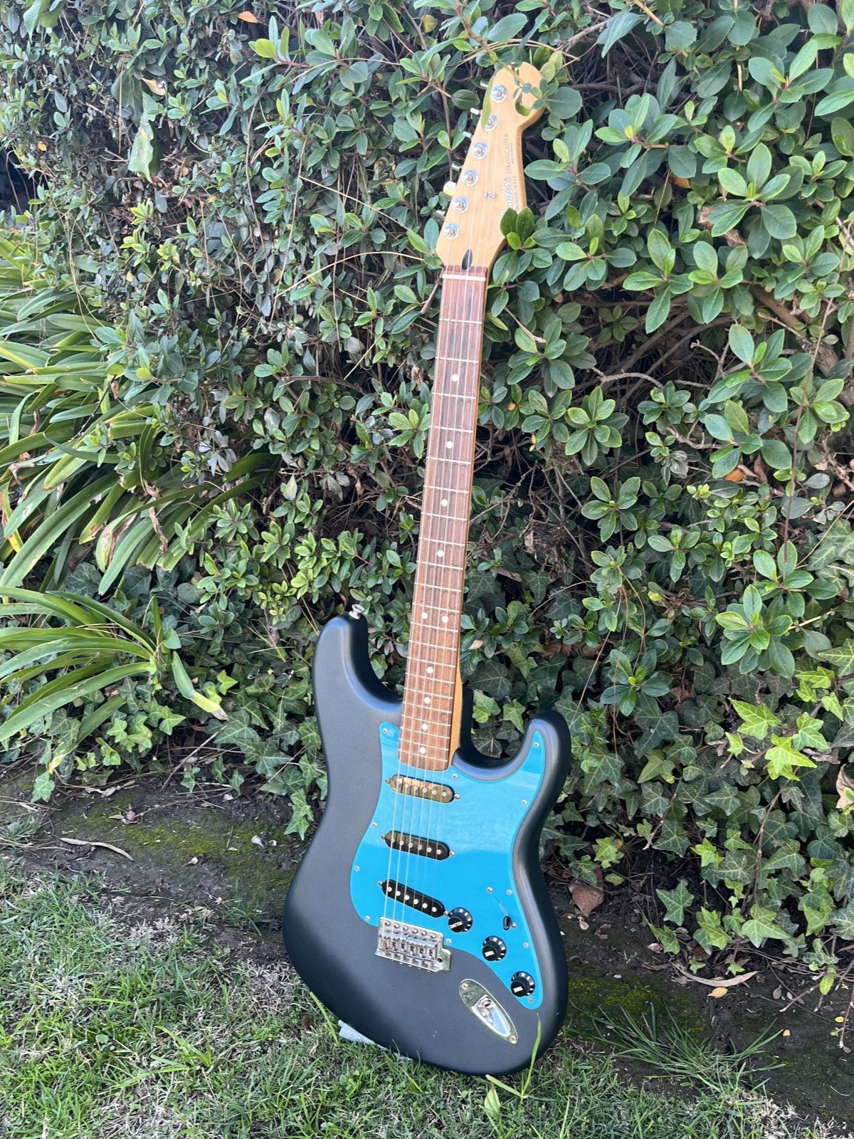 Stratocaster Pickguard (Fender/Squire)