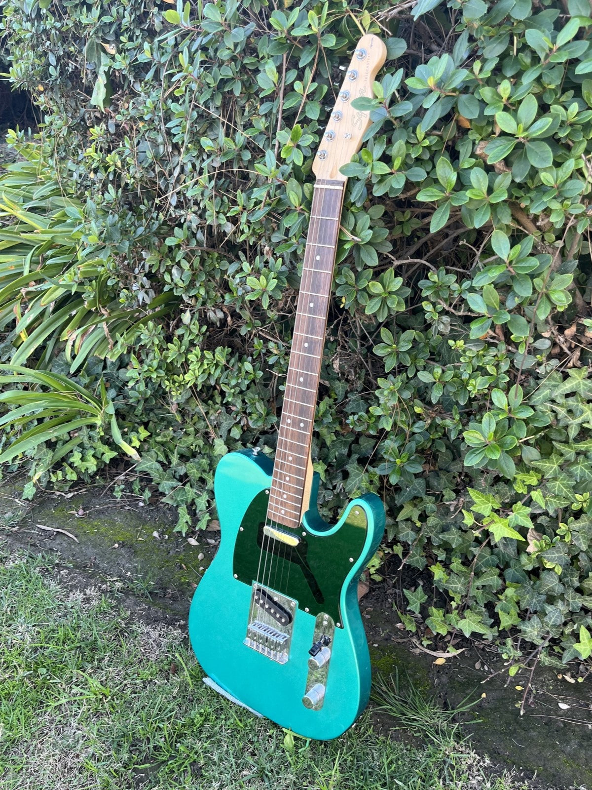 Telecaster Pickguard (Fender/Squire)